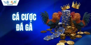 Cá Cược Đá Gà - Kinh Nghiệm Chơi Hiệu Quả Từ Chuyên Gia O8